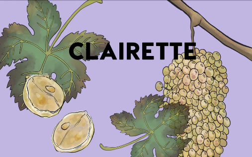 Clairette