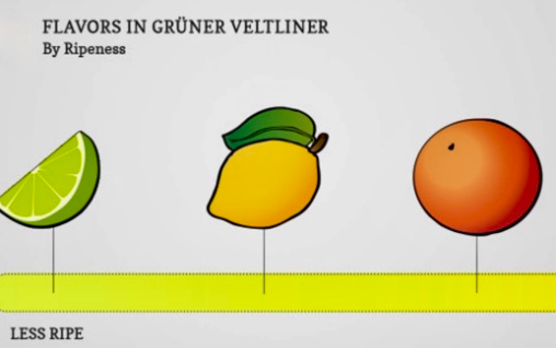 Gruner Veltliner