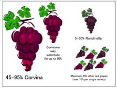 Valpolicella Blend