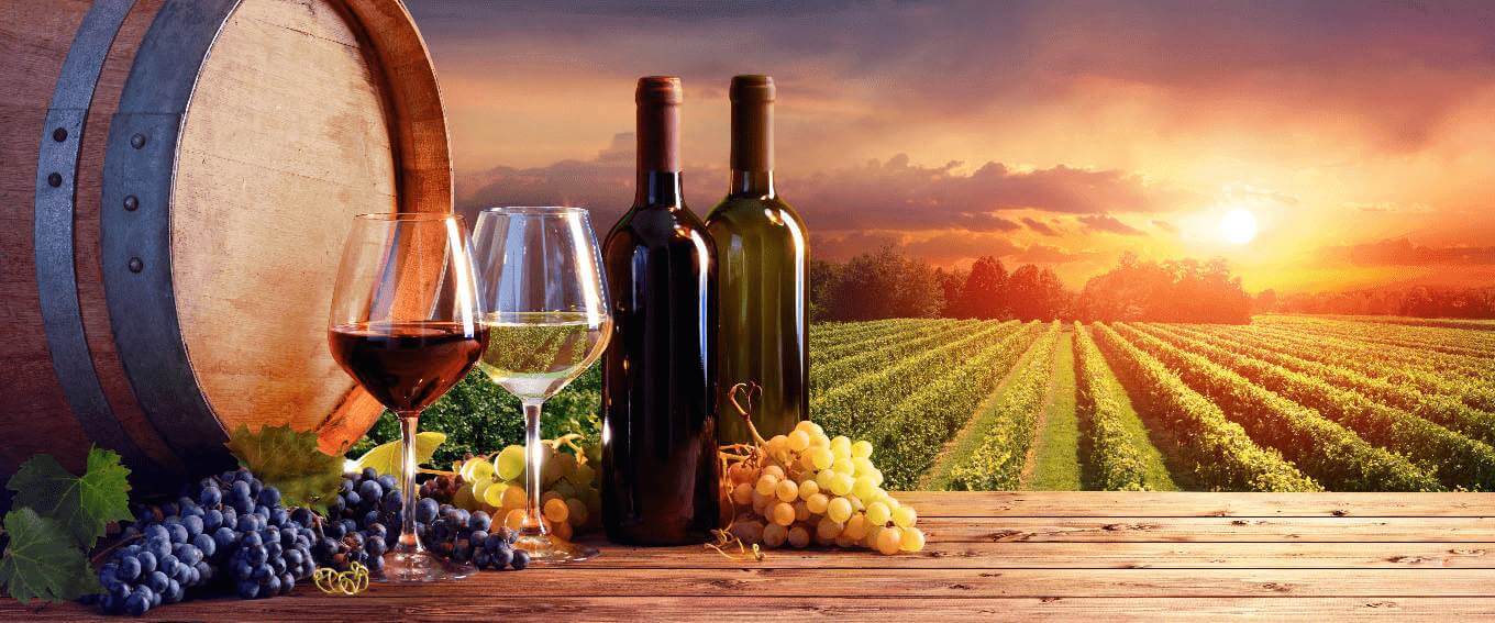 PALATE   PROFILE